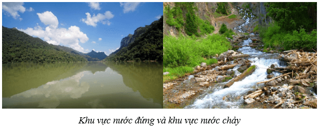 Sinh quyển (KHTN 8 Kết nối tri thức Bài 45)