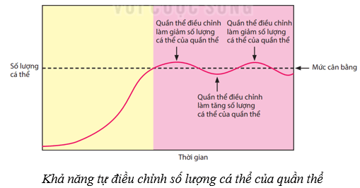 Cân bằng tự nhiên (KHTN 8 Kết nối tri thức Bài 46)