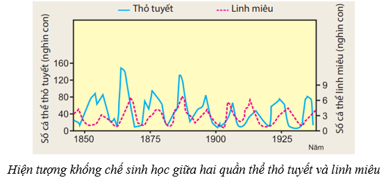 Cân bằng tự nhiên (KHTN 8 Kết nối tri thức Bài 46)