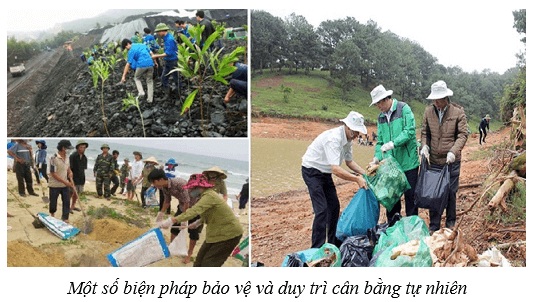 Cân bằng tự nhiên (KHTN 8 Kết nối tri thức Bài 46)