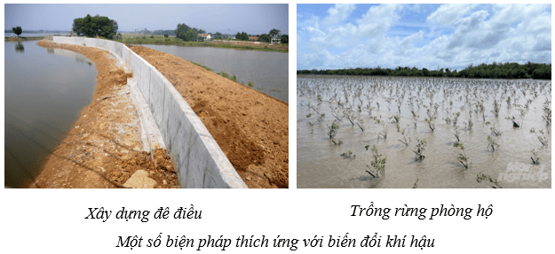 Bảo vệ môi trường (KHTN 8 Kết nối tri thức Bài 47)