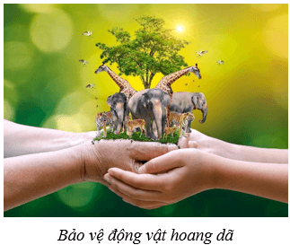 Bảo vệ môi trường (KHTN 8 Kết nối tri thức Bài 47)