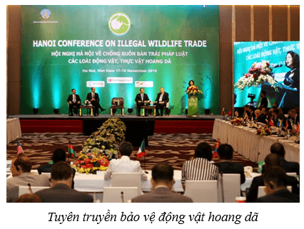 Bảo vệ môi trường (KHTN 8 Kết nối tri thức Bài 47)