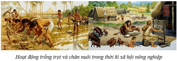 Bảo vệ môi trường (KHTN 8 Kết nối tri thức Bài 47)
