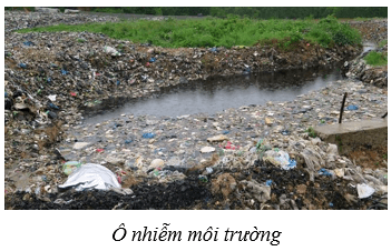 Bảo vệ môi trường (KHTN 8 Kết nối tri thức Bài 47)