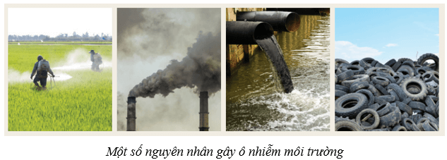 Bảo vệ môi trường (KHTN 8 Kết nối tri thức Bài 47)
