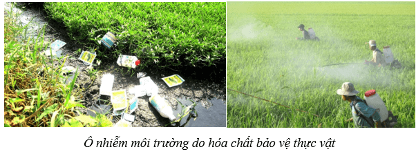 Bảo vệ môi trường (KHTN 8 Kết nối tri thức Bài 47)