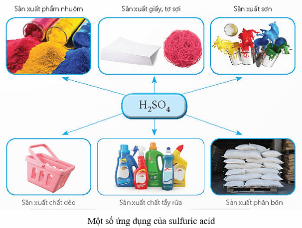 Acid (KHTN 8 Kết nối tri thức Bài 8)