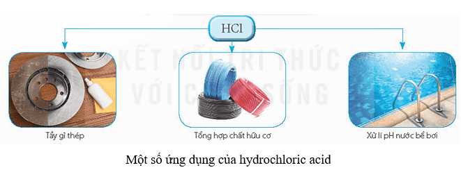 Acid (KHTN 8 Kết nối tri thức Bài 8)