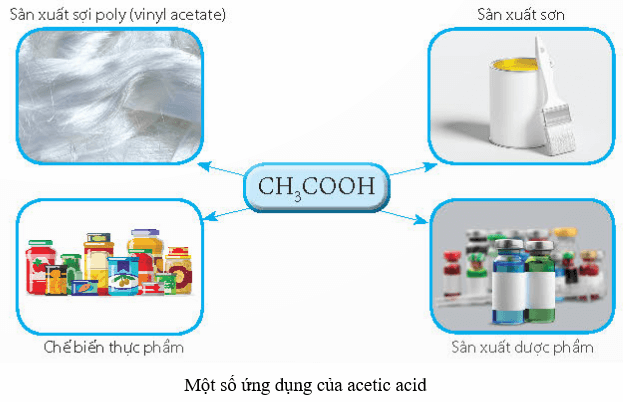 Acid (KHTN 8 Kết nối tri thức Bài 8)