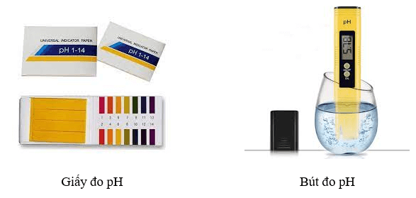 Base. Thang pH (KHTN 8 Kết nối tri thức Bài 9)