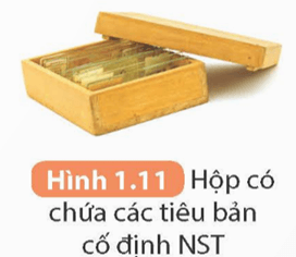 Nhận biết một số dụng cụ, hoá chất. Thuyết trình một vấn đề khoa học (KHTN 9 Kết nối tri thức Bài 1)