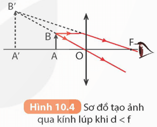 Kính lúp. Bài tập thấu kính (KHTN 9 Kết nối tri thức Bài 10)