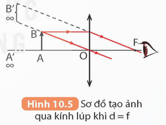 Kính lúp. Bài tập thấu kính (KHTN 9 Kết nối tri thức Bài 10)