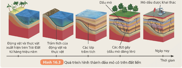 KHTN 9 Kết nối tri thức  Bài 16: Vòng năng lượng trên Trái Đất. Năng lượng hoá thạch