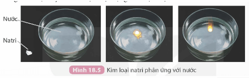 Tính chất chung của kim loại (KHTN 9 Kết nối tri thức Bài 18)