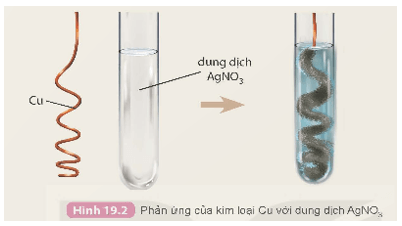 Dãy hoạt động hoá học (KHTN 9 Kết nối tri thức Bài 19)