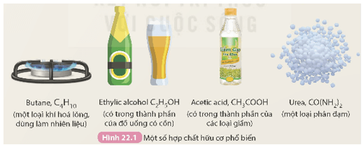 Giới thiệu về hợp chất hữu cơ (KHTN 9 Kết nối tri thức Bài 22)