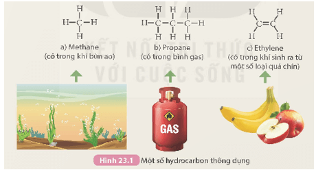 Alkane (KHTN 9 Kết nối tri thức Bài 23)