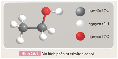 Ethylic alcohol (KHTN 9 Kết nối tri thức Bài 26)