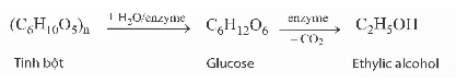 Ethylic alcohol (KHTN 9 Kết nối tri thức Bài 26)