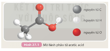 Acetic acid (KHTN 9 Kết nối tri thức Bài 27)