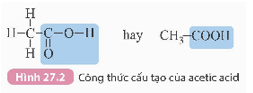 Acetic acid (KHTN 9 Kết nối tri thức Bài 27)