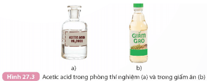 Acetic acid (KHTN 9 Kết nối tri thức Bài 27)