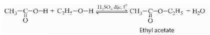 Acetic acid (KHTN 9 Kết nối tri thức Bài 27)