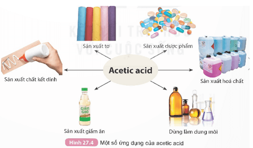 Acetic acid (KHTN 9 Kết nối tri thức Bài 27)