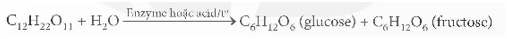 Carbohydrate. Glucose và saccharose (KHTN 9 Kết nối tri thức Bài 29)