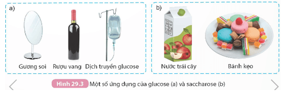 Carbohydrate. Glucose và saccharose (KHTN 9 Kết nối tri thức Bài 29)