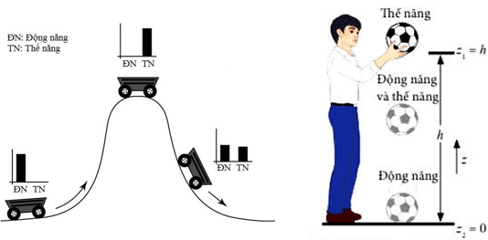 Cơ năng (KHTN 9 Kết nối tri thức Bài 3)