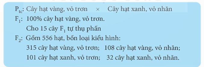 Các quy luật di truyền của Mendel (KHTN 9 Kết nối tri thức Bài 37)