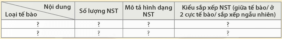 Nhiễm sắc thể và bộ nhiễm sắc thể (KHTN 9 Kết nối tri thức Bài 42)