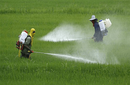 Di truyền học với con người (KHTN 9 Kết nối tri thức Bài 47)