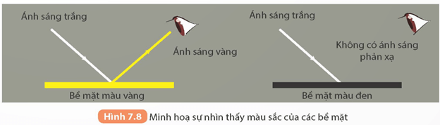 Lăng kính (KHTN 9 Kết nối tri thức Bài 7)