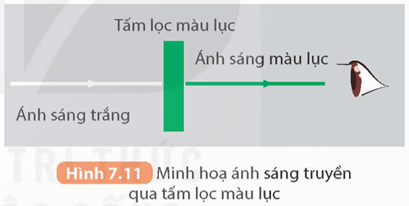 Lăng kính (KHTN 9 Kết nối tri thức Bài 7)