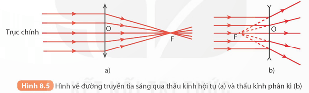 KHTN 9 Kết nối tri thức  Bài 8: Thấu kính