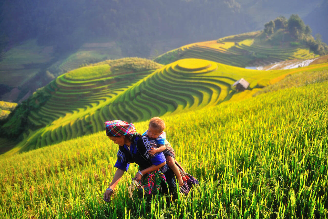 Hình ảnh minh họa SGK Lịch sử 10