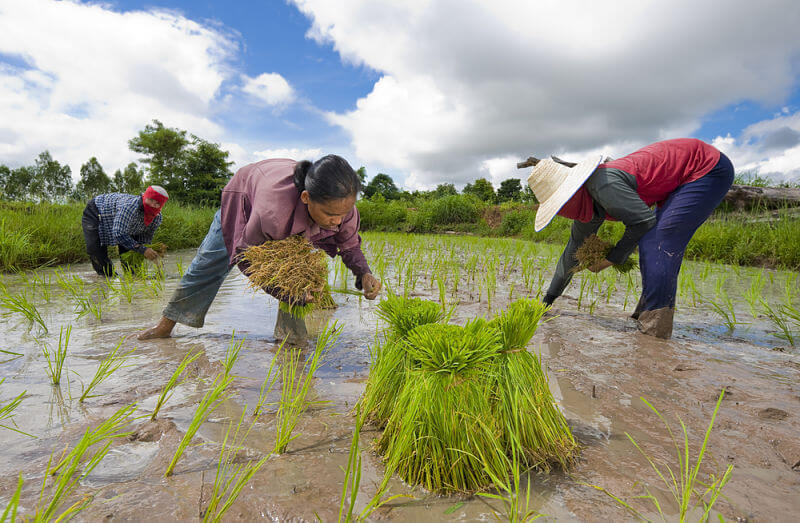 Hình ảnh minh họa SGK Lịch sử 10