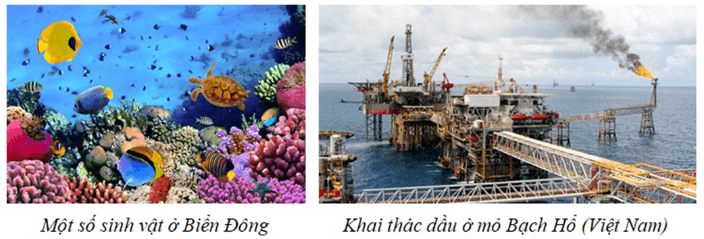 Tài nguyên biển đảo phong phú tại Biển Đông: hệ sinh thái rạn san hô, ngư trường đánh bắt hải sản và bồn trũng dầu khí thềm lục địa