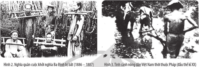 Nghĩa quân khởi nghĩa Ba Đình bị bắt (1886 - 1887) và tình cảnh nông dân Việt Nam thời thuộc Pháp đầu thế kỉ XX