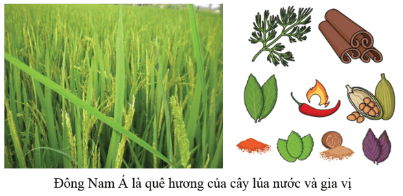 Lịch Sử 6 Bài 11: Các quốc gia sơ kì ở Đông Nam Á