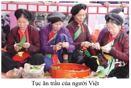 Lịch Sử 6 Bài 17: Cuộc đấu tranh bảo tồn và phát triển văn hóa dân tộc của người Việt