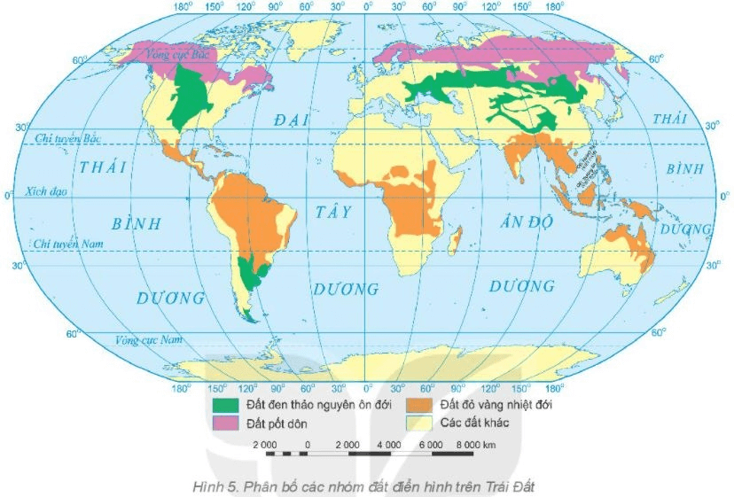 Địa Lí 6 Bài 22: Lớp đất trên Trái Đất