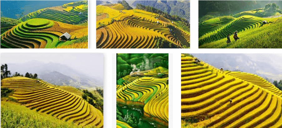 Địa Lí 6 Bài 26: Thực hành: Tìm hiểu môi trường tự nhiên địa phương