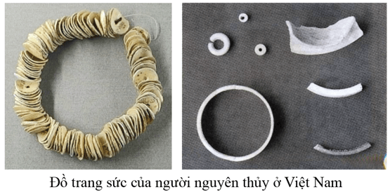 Lịch Sử 6 Bài 5: Xã hội nguyên thủy