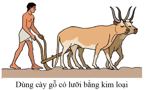 Lịch Sử 6 Bài 6: Sự biến chuyển và phân hóa của xã hội nguyên thủy