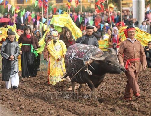 Lịch Sử 7 Kết nối tri thức Bài 11: Nhà Lý xây dựng và phát triển đất nước (1009 - 1225)